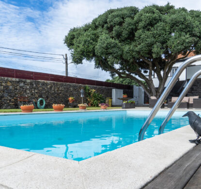 Fotografia de Casa da Árvore – Villa